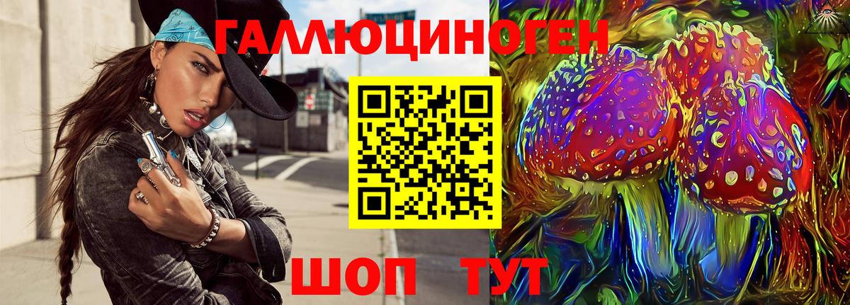Нерюнгри  Галлюциногенные грибы GOLDEN TEACHER  Вход с VPN 
